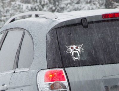 Лот: 5096837. Фото: 1. Наклейка виниловая "ArcticCat... Наклейки автомобильные