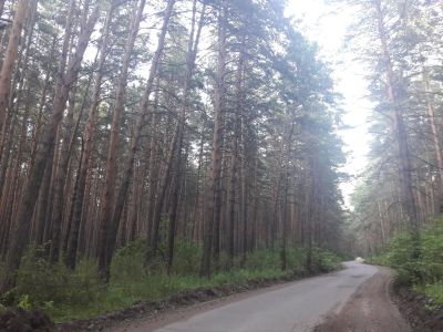 Лот: 10132080. Фото: 1. Продам участок10 сот.,земли сельхозназначения... Земельные участки