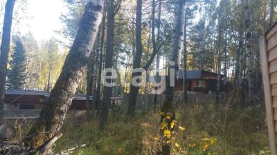 Лот: 25297334. Фото: 1. участок , деревня Шумиха деревня... Земельные участки
