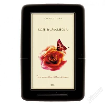 Лот: 2814682. Фото: 1. Продам электронную книгу 7" Explay... Электронные книги