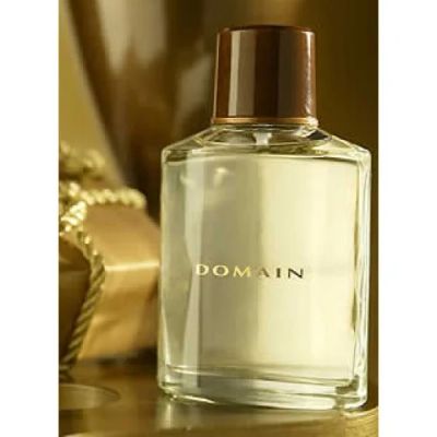 Лот: 4717471. Фото: 1. Туалетная вода Domain Домэйн. Мужская парфюмерия