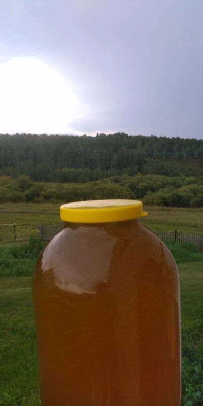 Лот: 16556671. Фото: 1. Мёд. Мёд, продукты пчеловодства