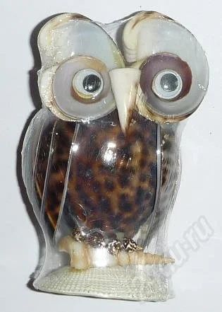 Лот: 536902. Фото: 1. Сова из тигриса. Ракушки, раковины... Другое (сувениры, подарки)