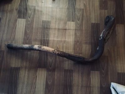 Лот: 11794856. Фото: 1. приемная труба ваз 2101. Двигатель и элементы двигателя