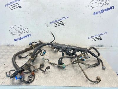 Лот: 25238035. Фото: 1. проводка двс Honda Accord CL3. Двигатель и элементы двигателя