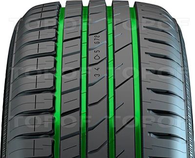 Лот: 7920550. Фото: 1. Nokian 205/55 R16 HAKKA GREEN... Шины