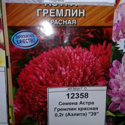 Лот: 9111204. Фото: 1. Семена / цветы / Астра / Гремлин... Садовые цветы
