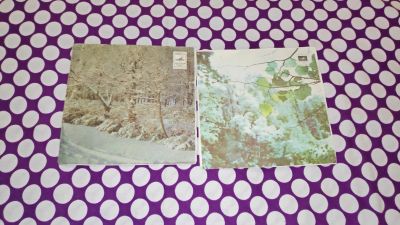 Лот: 25763527. Фото: 1. 2 виниловые пластинки " Миньон... Аудиозаписи