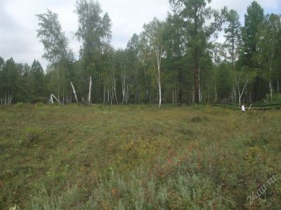 Лот: 1631443. Фото: 1. Земельный участок, 4,5 га. Ермаковский... Земельные участки