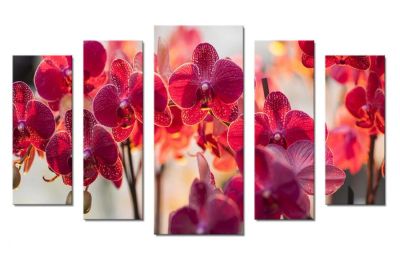Лот: 7856316. Фото: 1. Модульная картина Коралловые орхидеи. Другое (для дачи, дома, огорода, бани, парка)
