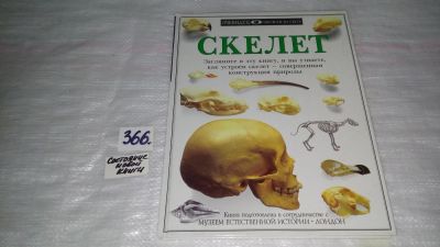 Лот: 9078814. Фото: 1. Скелет, Стив Паркер, Эта книга... Познавательная литература