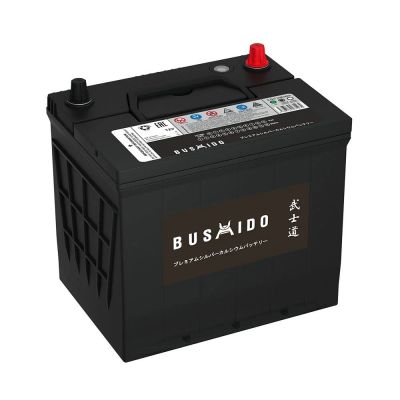 Лот: 18097303. Фото: 1. Автомобильный аккумулятор BUSHiDO... Аккумуляторы