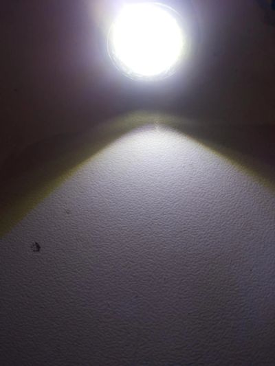 Лот: 8208750. Фото: 1. LED Ходовые огни 30Вт 180Лм 48кд... Электроприборы для автомобиля