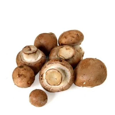 Лот: 5640696. Фото: 1. грибы шампиньоны кремовые свежие. Грибы
