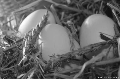 Лот: 3510447. Фото: 1. Яйцо деревенских кур, 3 десятка-... Мясо, птица, яйцо