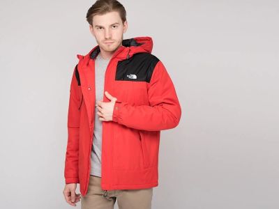 Лот: 17096222. Фото: 1. Куртка The North Face (18378). Верхняя одежда