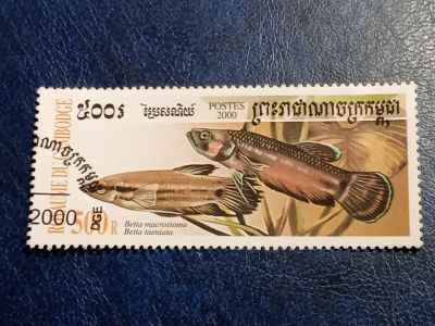 Лот: 25551072. Фото: 1. - Марки для Вашей коллекции. лот... Марки