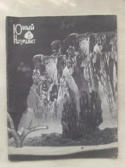 Лот: 20027097. Фото: 1. Журнал Юный Натуралист №10-1966... Детские