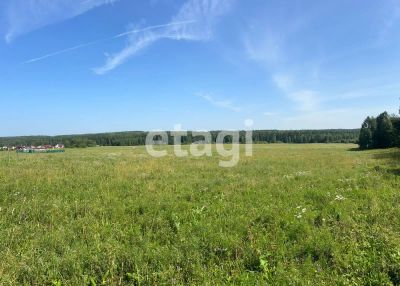 Лот: 25288825. Фото: 1. участок , посёлок Арей посёлок... Земельные участки