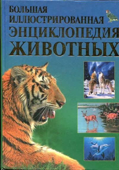 Лот: 23434757. Фото: 1. Большая иллюстрированная энциклопедия... Познавательная литература