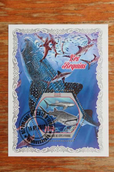 Лот: 21449953. Фото: 1. Марки. Кот-д-Ивуар 2018 Акулы... Марки