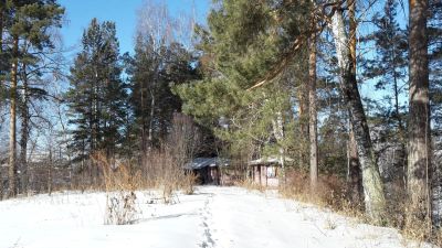 Лот: 4937726. Фото: 1. Продам Дачу, земля 12 соток. Дачи