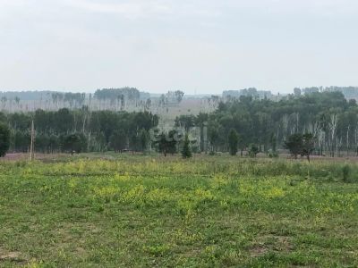 Лот: 25289757. Фото: 1. участок , садоводческое некоммерческое... Земельные участки