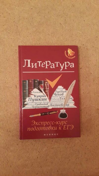 Лот: 6659511. Фото: 1. Литература. Экспресс-курс подготовки... Для школы