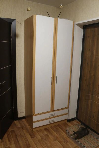 Лот: 6785116. Фото: 1. Шкаф в прихожую. Другое (мебель для прихожей)