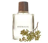 Лот: 3588222. Фото: 1. Туалетная вода Domain® от Mary... Мужская парфюмерия