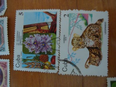 Лот: 3870967. Фото: 1. марки флора фауна. Марки