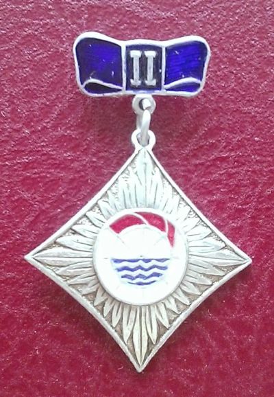 Лот: 7853551. Фото: 1. Знак "Бассовет ДСО "Водник". II... Другое (значки, медали, жетоны)