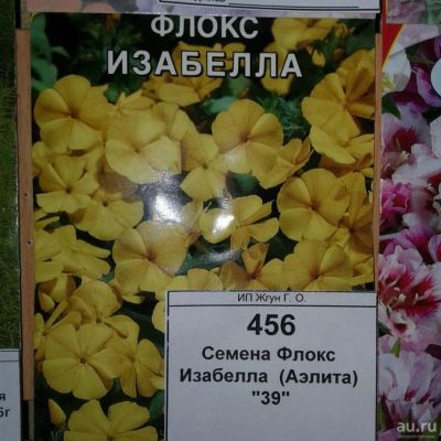 Лот: 9118596. Фото: 1. Семена / цветы / Флокс / Изабелла... Садовые цветы