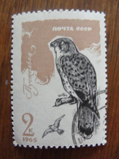 Лот: 5316801. Фото: 1. 3284. 1965. Хищные птицы. Пустельга... Марки