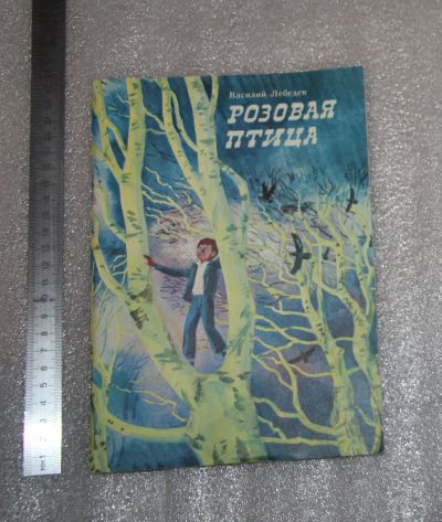 Лот: 24877028. Фото: 1. Детская книга. Василий Лебедев... Художественная для детей
