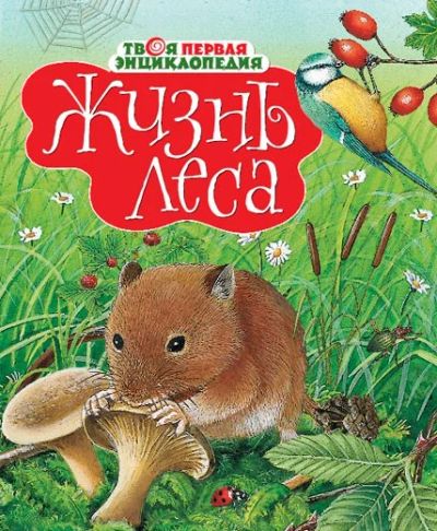 Лот: 5092863. Фото: 1. Жизнь леса Новое!. Другое (детям и родителям)