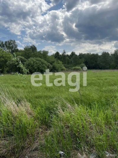 Лот: 25286315. Фото: 1. участок , ДНТ Ягодка ДНТ Ягодка... Земельные участки