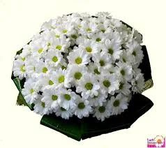 Лот: 6851915. Фото: 1. Цветы . Букет от Цветограда... Свежие цветы