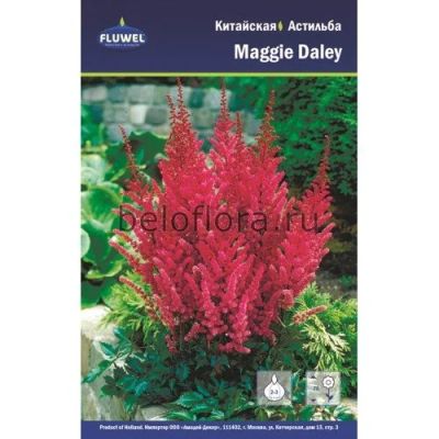 Лот: 15925638. Фото: 1. Астильба Мэгги Дейли / Maggie... Садовые цветы