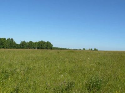 Лот: 10972431. Фото: 1. Земельный участок 8.7 гектар в... Земельные участки