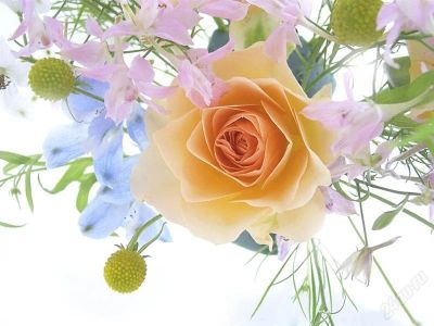 Лот: 810765. Фото: 1. Поздравление- букет с доставкой... Разное