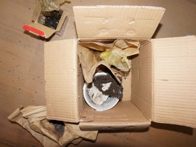 Лот: 17410701. Фото: 1. Коробка гровера. Крепёж