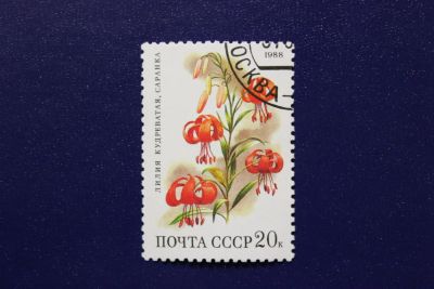 Лот: 6855862. Фото: 1. Почтовая марка №4057 в коллекцию. Марки
