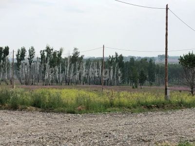 Лот: 25289760. Фото: 1. участок , садоводческое некоммерческое... Земельные участки