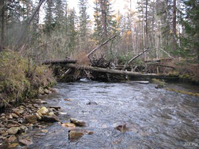 Лот: 9372553. Фото: 1. Сдам избушку у реки, на выходные... Туры, путёвки, билеты