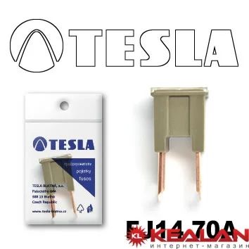Лот: 8598258. Фото: 1. TESLA FJ14 70A предохранитель... Расходные материалы