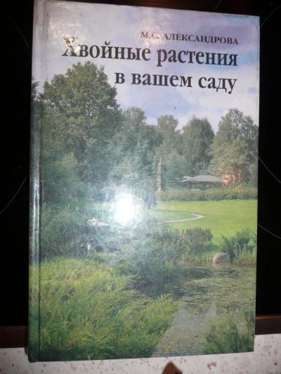 Лот: 11119020. Фото: 1. Хвойные растения в вашем саду... Сад, огород, цветы