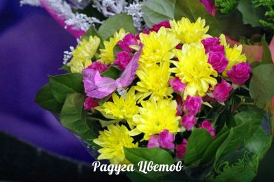 Лот: 6705746. Фото: 1. Фирменный букет от Радуги Цветов... Свежие цветы