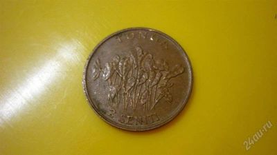 Лот: 1948104. Фото: 1. Добрый крокодил - честное лето... Австралия и Океания