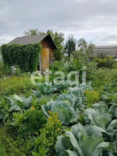 Лот: 25285545. Фото: 1. 1-комн. дача , СНТ Маяк СНТ Маяк... Дачи